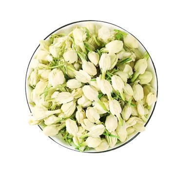 广西横县横州茉莉花干新鲜花苞现摘干花花茶原料花蕾开花厂家批发图5
