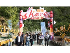 “乡”聚力量 “创”新未来 | 文化产业赋能乡村振兴创新路径与实践探索活动在留坝县成功举办