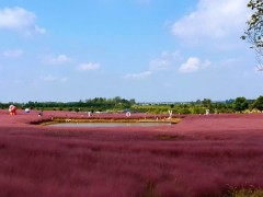 “扬州金秋诗意田园休闲游”入选全国美丽乡村游精品线路