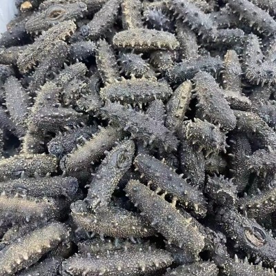 【海参工厂】淡干海参批发辽刺参干货厂家干制一件代发辽参源头厂图4