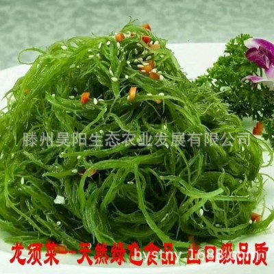 盐渍海草龙须菜海发菜石花菜凉拌菜20斤一箱日料寿司海藻沙拉鲜爽图2