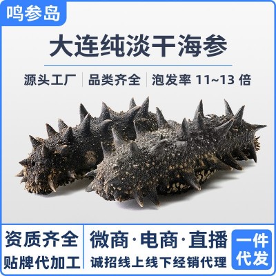 大连特产纯淡干海参干货批发海鲜水产辽刺参散装家用礼盒装可商用图3