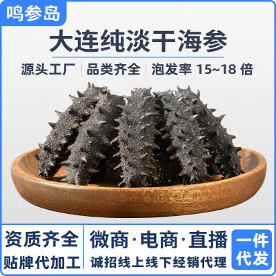 大连纯淡干海参干货批发深海底播辽刺参散装海鲜水产干货礼盒商用