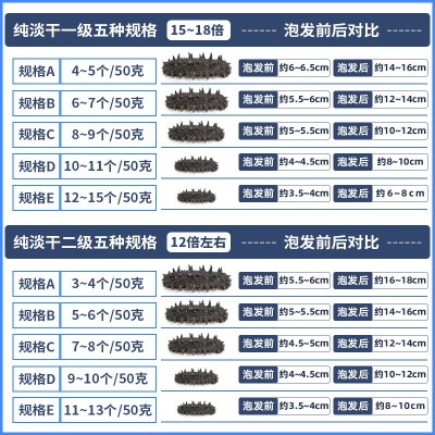 大连纯淡干海参干货批发深海底播辽刺参散装海鲜水产干货礼盒商用图5