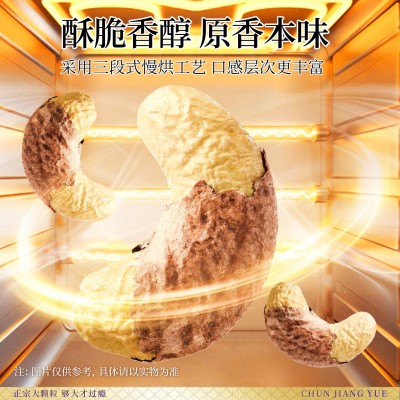 带皮腰果特大颗粒越南特产盐焗紫衣腰果原味散装批发坚果炒 货厂家图5