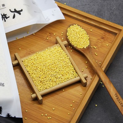 辽宁牧仁大黄米糯小米粥粘黄米2024新米粘豆包粽子年糕厂家批发图5