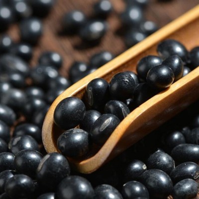 五谷杂粮 东北黑豆 油粮作物 东北豆青仁黑豆 绿心黑豆批发图2