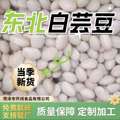 产地工厂 现货直发 白芸豆 小白芸豆 各种规格齐全
