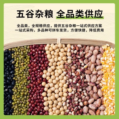 产地工厂 现货直发 白芸豆 小白芸豆 各种规格齐全图3