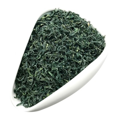 2025新茶产地供应松阳香茶高山云雾日照炒青浓香绿茶宾馆散装批发图5