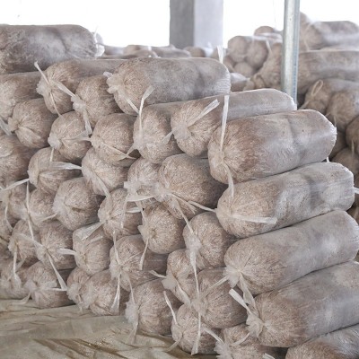 山东平菇菌种食用菌菌包6斤重两头出蘑菇种植高出菇率黑平菇菌包图5