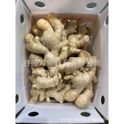 出口姜，出口保鲜姜，出口生姜，鲜姜图4
