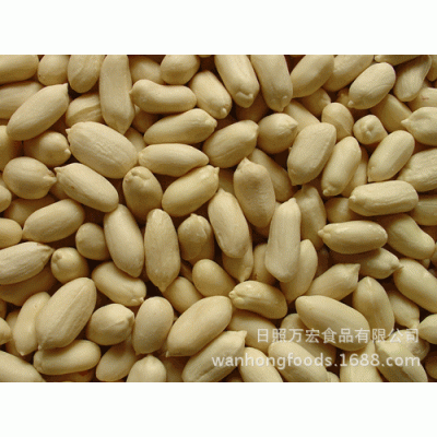 出口山东花生仁,脱皮花生,乳白花生图2