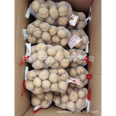 出口核桃，新疆产核桃，出口新疆产薄皮核桃图2