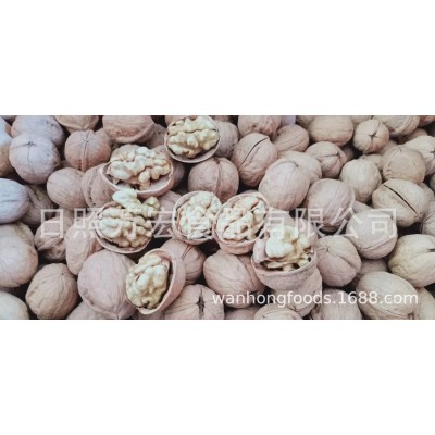 出口核桃，新疆产核桃，出口新疆产薄皮核桃图3