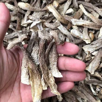 南北食用菌干货源头厂家 批发散装500克农产品鹿茸菇 量大从优图3