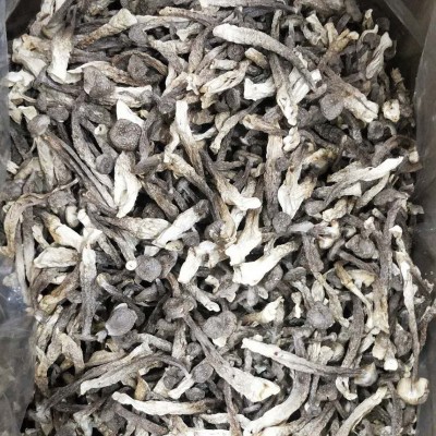 南北食用菌干货源头厂家 批发散装500克农产品鹿茸菇 量大从优图2