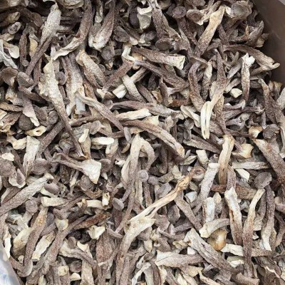 南北食用菌干货源头厂家 批发散装500克农产品鹿茸菇 量大从优图5