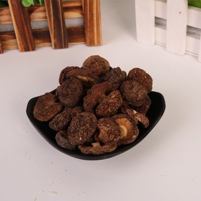 古田食用菌南北干货10斤批发 山货土特产金钱菇 厂家供应量大从优图4