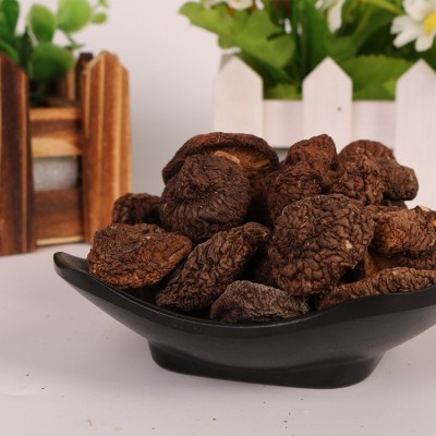 古田食用菌南北干货10斤批发 山货土特产金钱菇 厂家供应量大从优图3