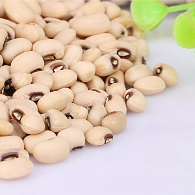 绿色黄金五谷杂粮白眉豆白豇豆新鲜粗粮初级农产品厂家一件代发图2