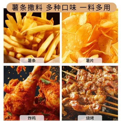 现炸薯片薯条撒料土豆洋芋山药膨化食品撒粉商用番茄黄瓜烧烤料图4