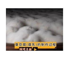 现代工业之——臭豆腐（腐乳）的制作过程