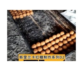 老王讲糖——斯里兰卡红糖制作系列02