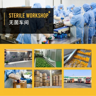 冷冻绿花菜 速冻绿花菜 速冻西兰花 冷冻西兰花   2吨图2