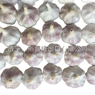 定制5头蒜供应大蒜出口普白大蒜纸箱大蒜供应干蒜大蒜蒜头 大包装图5