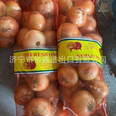 供应出口洋葱，出口黄皮洋葱，出口黄洋葱，洋葱出口，洋葱工厂图3