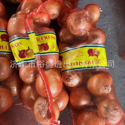 供应出口洋葱，出口黄皮洋葱，出口黄洋葱，洋葱出口，洋葱工厂图2