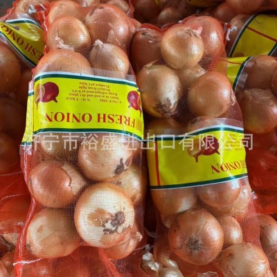 供应出口洋葱，出口黄皮洋葱，出口黄洋葱，洋葱出口，洋葱工厂图4