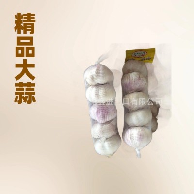 出口纯白大蒜，alho fresco、alho、ajo fresco、garlic、大蒜头
