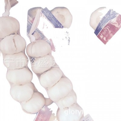 出口纯白大蒜，alho fresco、alho、ajo fresco、garlic、大蒜头图5