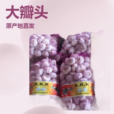 定制出口新干蒜，大蒜出口，蒜头，蒜，保鲜蒜，大蒜加工出口图2
