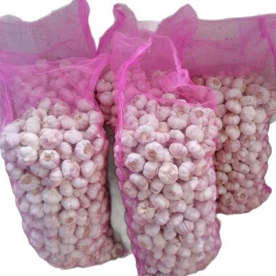 定制出口新干蒜，大蒜出口，蒜头，蒜，保鲜蒜，大蒜加工出口图5