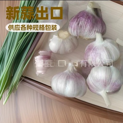 定制出口新干蒜，大蒜出口，蒜头，蒜，保鲜蒜，大蒜加工出口