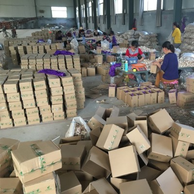 金乡紫皮大蒜 出口大蒜品质 辛辣大蒜 2kg/件 19元/件山东产地图4