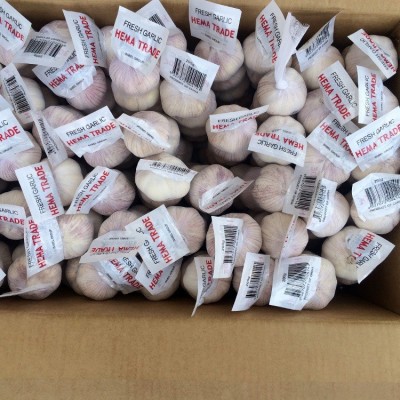 出口独头蒜，大蒜头干蒜5斤纸箱，大蒜头10kg（购买请电话联系）图2