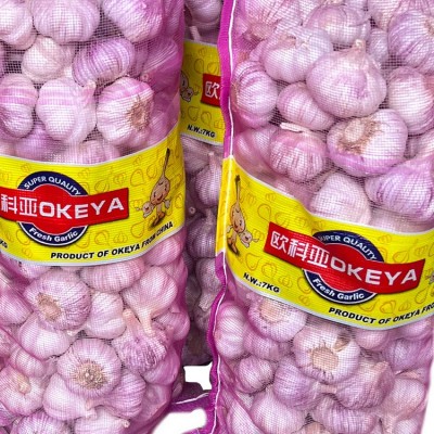 出售大蒜网袋 金乡大蒜 中国大蒜出口 10kg网袋大粒 （购买请电话联系）图2