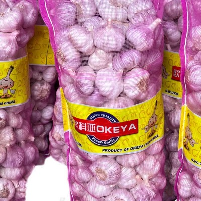 出售大蒜网袋 金乡大蒜 中国大蒜出口 10kg网袋大粒 （购买请电话联系）图3