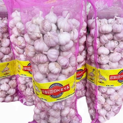 出售大蒜网袋 金乡大蒜 中国大蒜出口 10kg网袋大粒 （购买请电话联系）图4