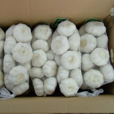 供应出口纯白大蒜原产地金乡5.5cm6.0cm 出口英国新西兰白皮 (购买请电话沟通)图3