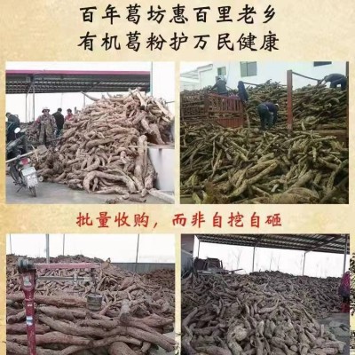 二月风食品厂家双有机食品葛粉早餐养生食品代餐粉野柴葛根粉批发图5