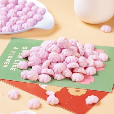 源头工厂 无麸质 曲奇蓝莓叶黄素酯溶溶酥 入口易化儿童健康零食图2