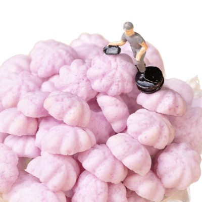 源头工厂 无麸质 曲奇蓝莓叶黄素酯溶溶酥 入口易化儿童健康零食图4