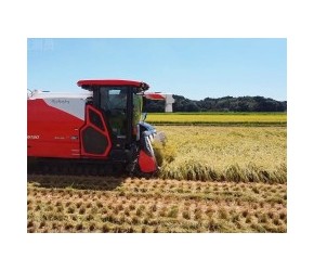 日本收割倒伏水稻作业，1亩地5分钟就可以收割完