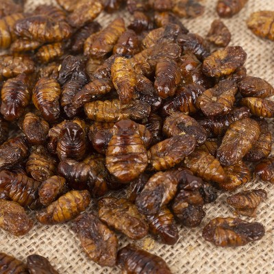 厂家批发香酥蚕蛹开袋即食香辣五香蚕蛹休闲零食油炸零食山东特产图5