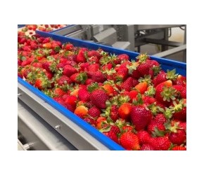 农业科技进步推动农业机械化发展